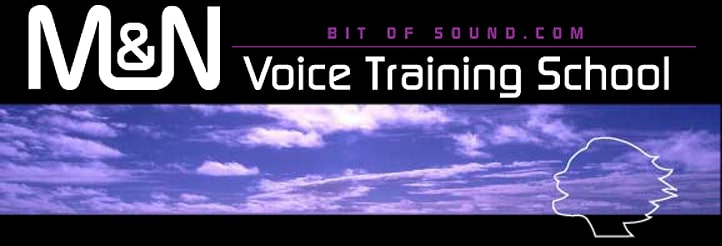 M&N Bit Of Sound ボイストレーニングスクールの紹介画像